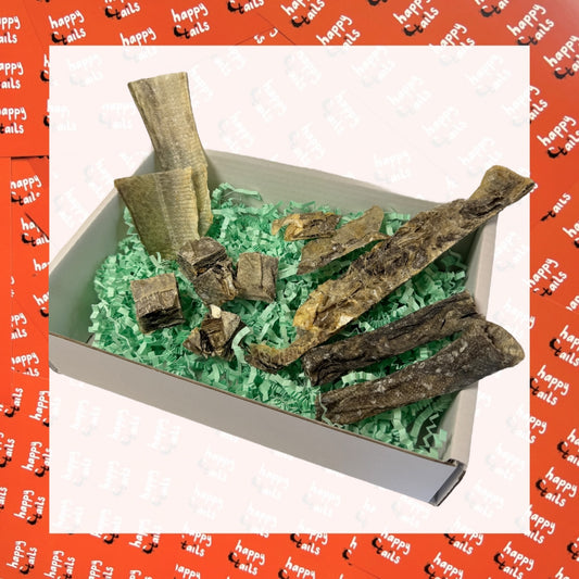 The Fishy Taster Selection