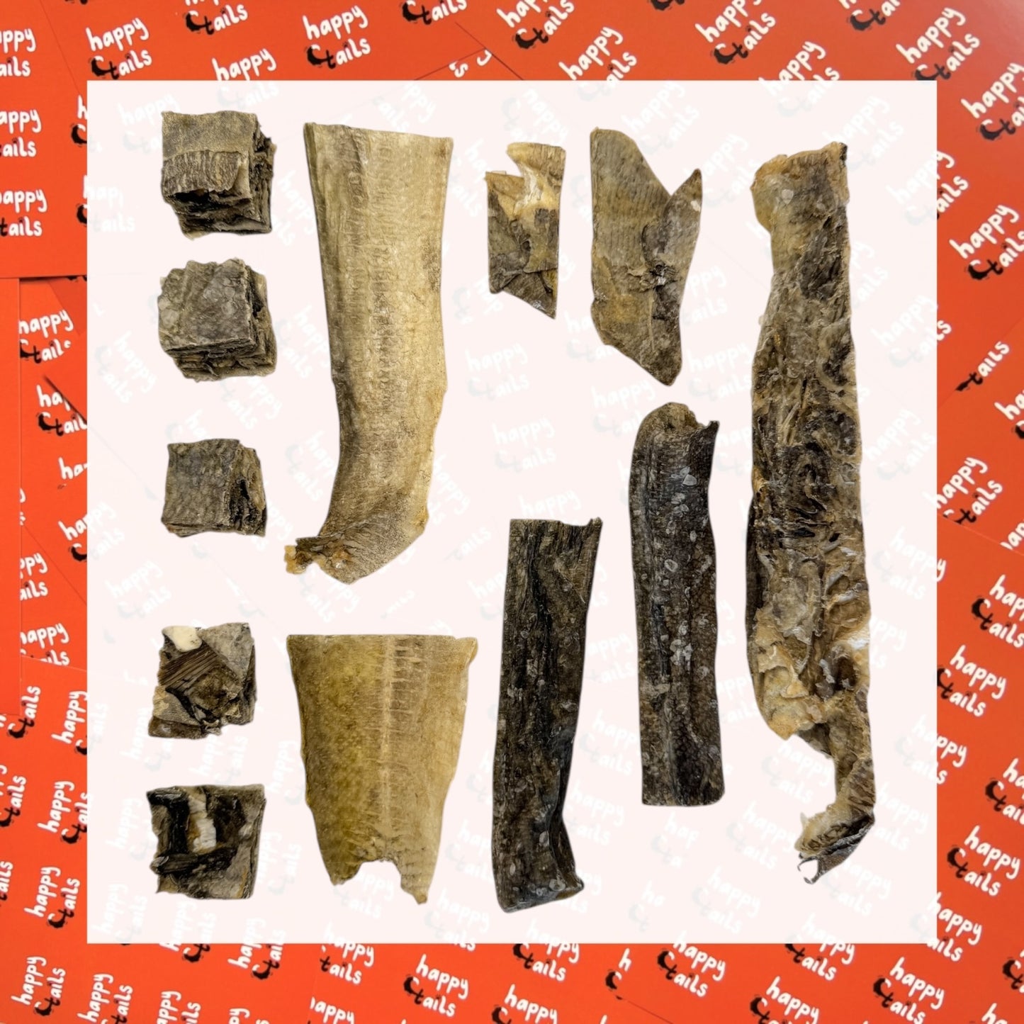 The Fishy Taster Selection