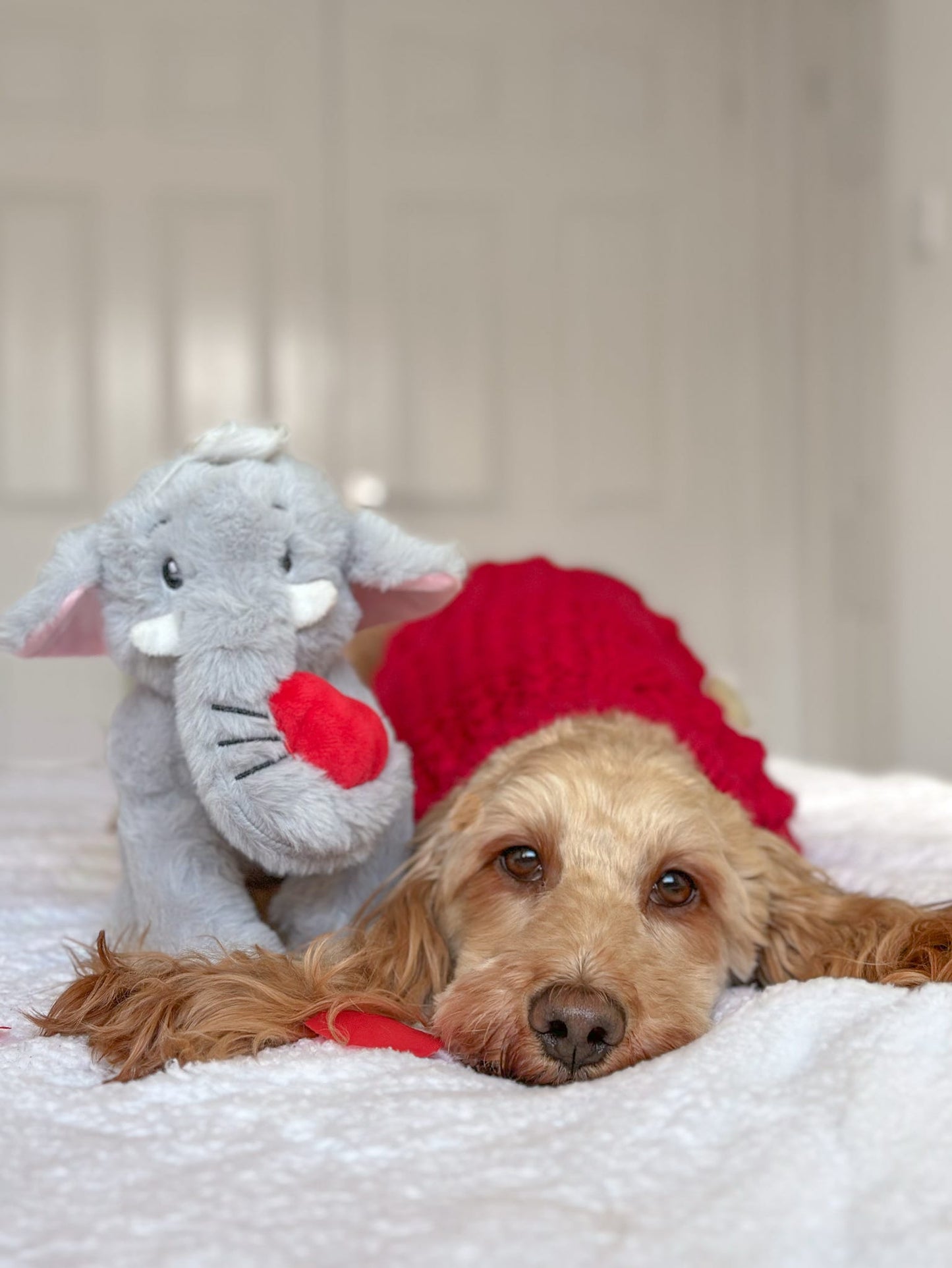 Indi Elephant Plush Toy