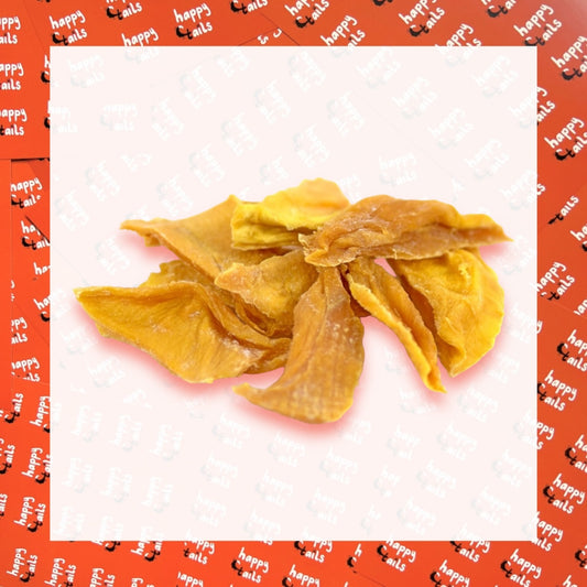 Dried Organic Mango Slices