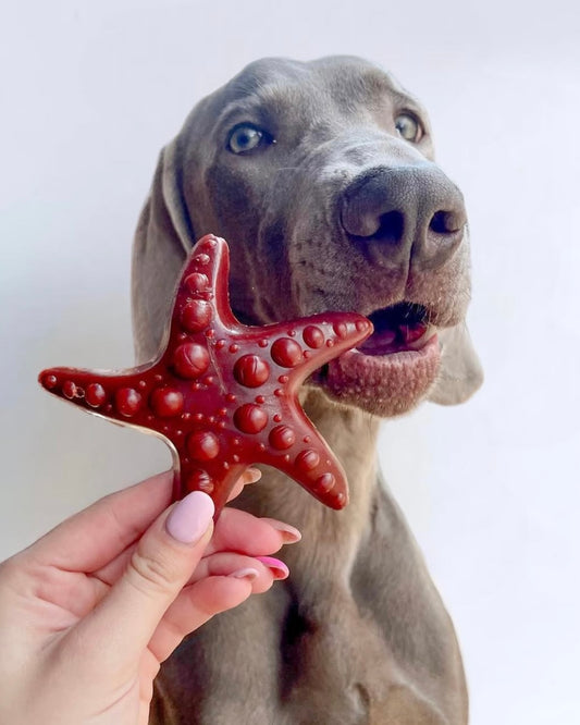 Lucky Dip - Veggie Treat