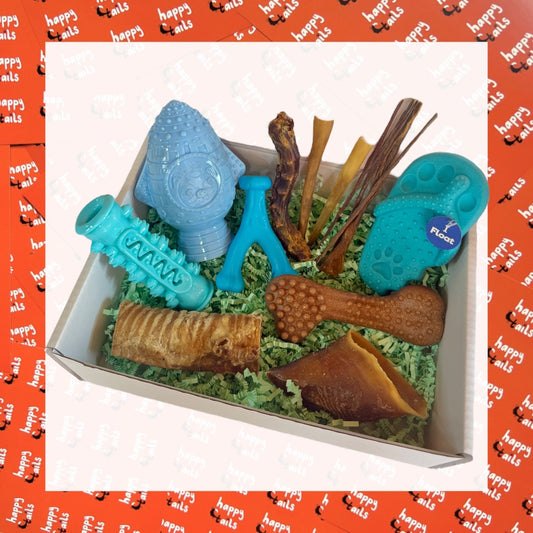 Puppy Box - Blue (Perfect for Teething!)