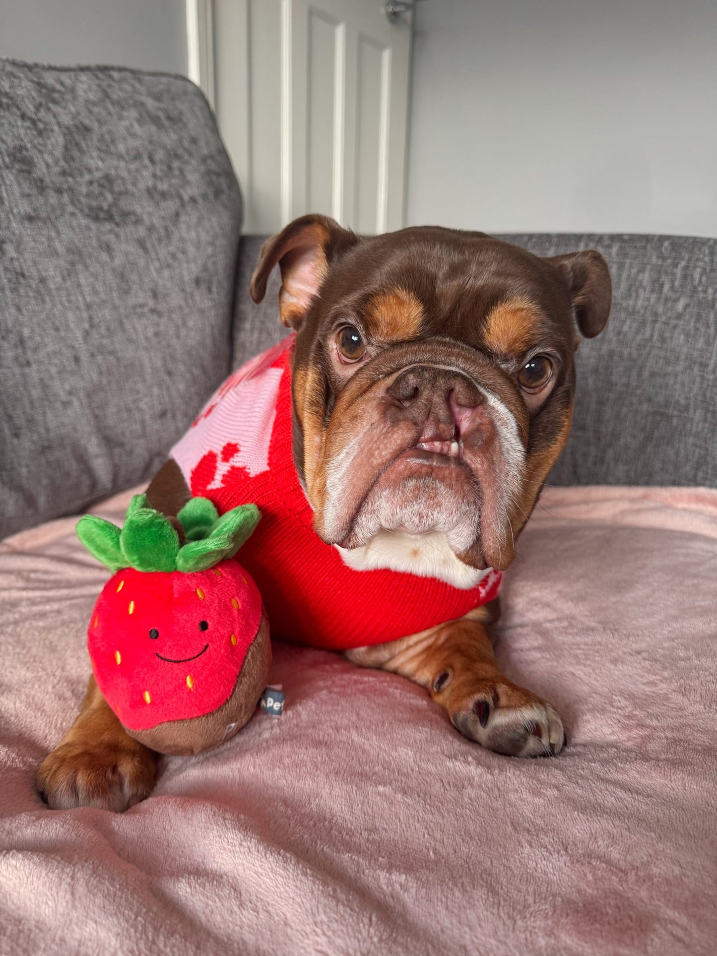 Charlie Chocolate Dipped Strawberry Plush Toy