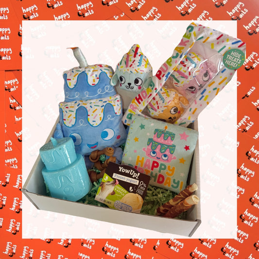 Birthday Box - Blue
