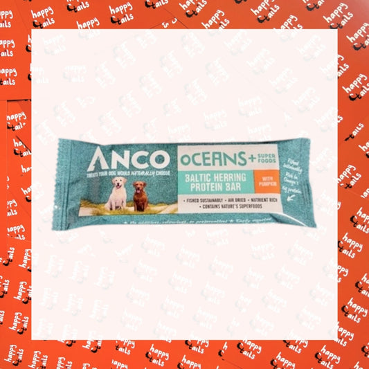 ANCO Oceans+ Herring with Pumpkin Bars