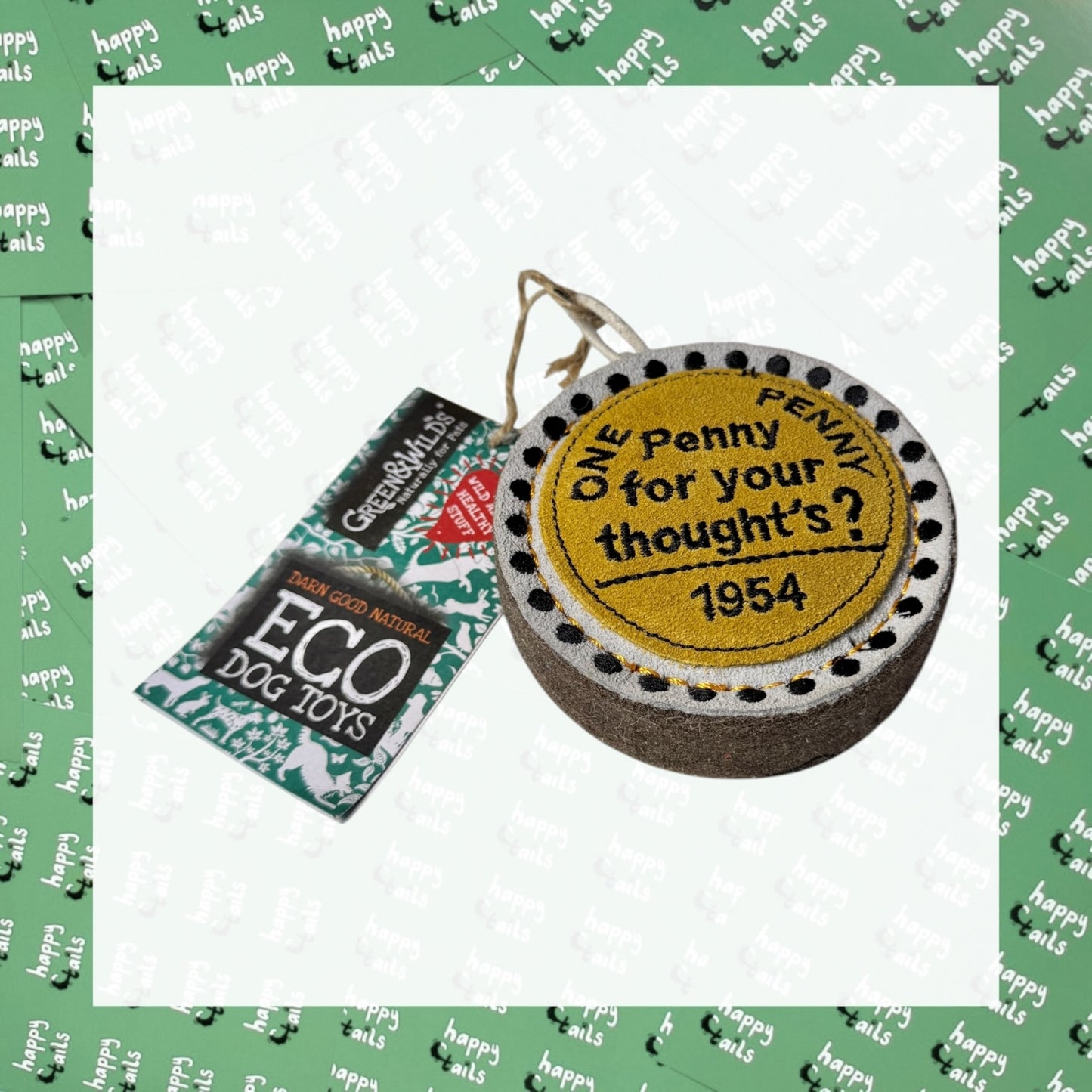 Penny For Your Thoughts Eco Toy