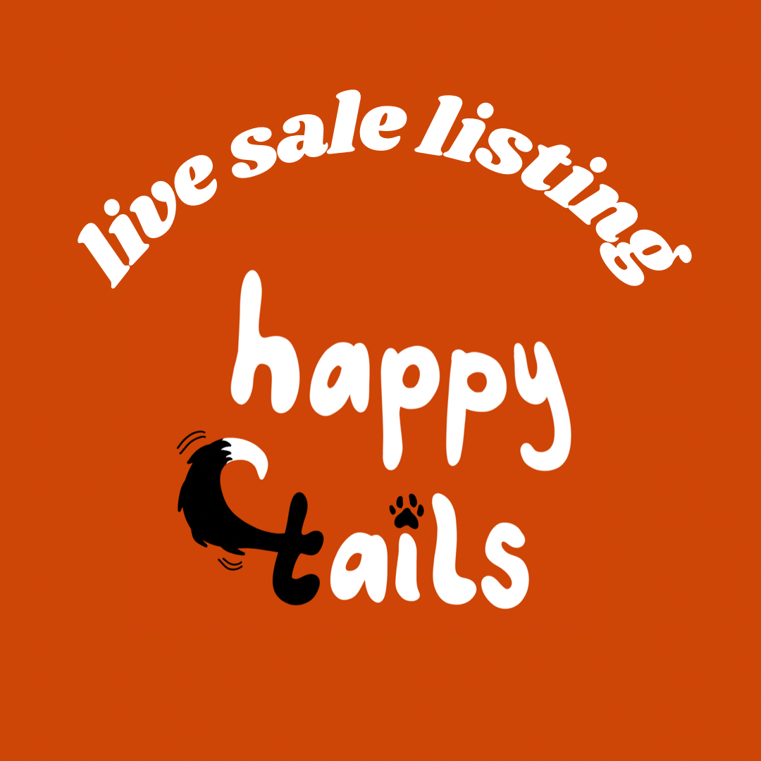 @pointerandthescotts