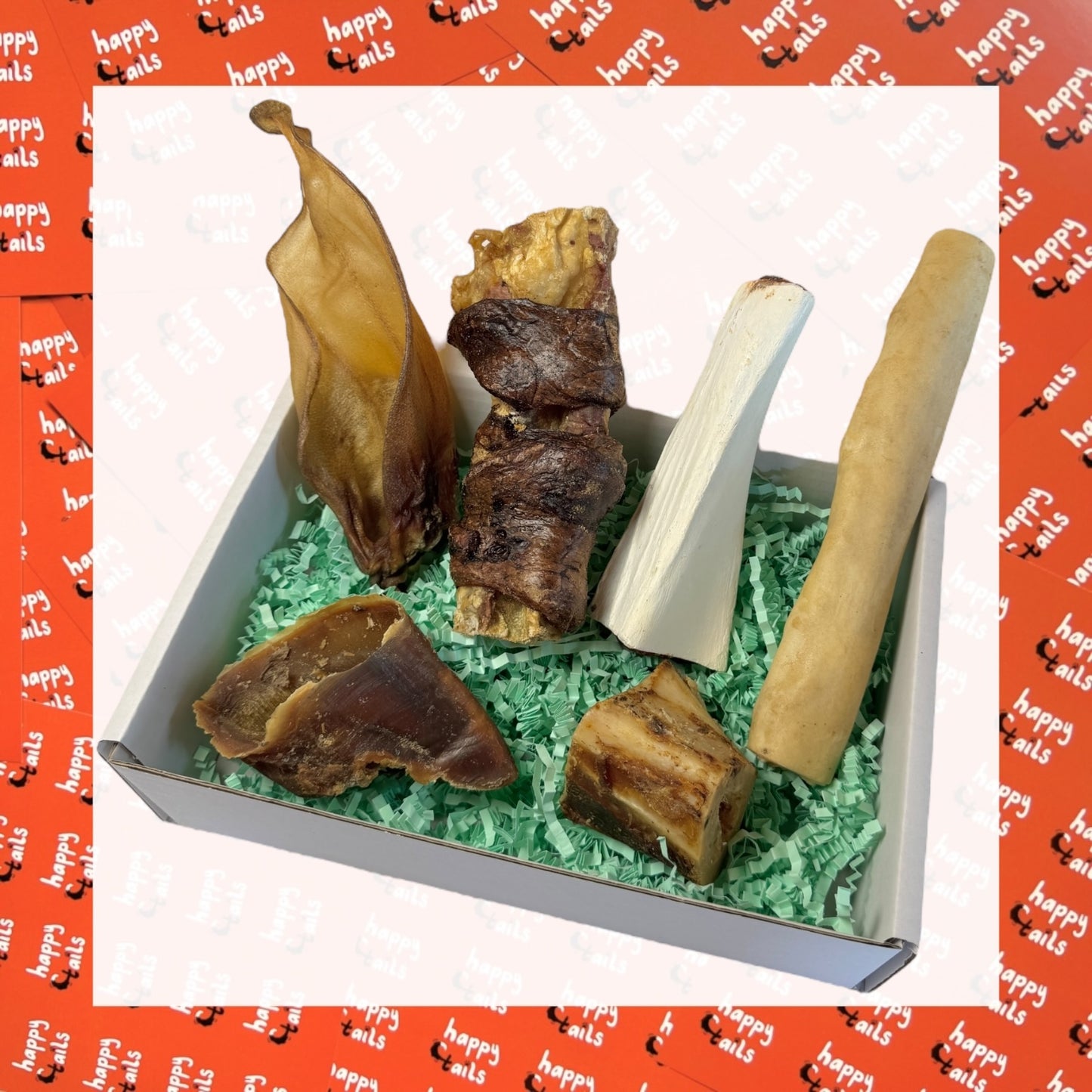 The Big Dog Selection