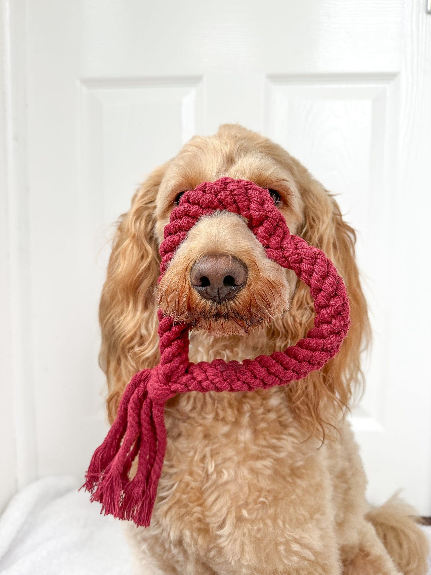 Heart Tassel Rope Toy