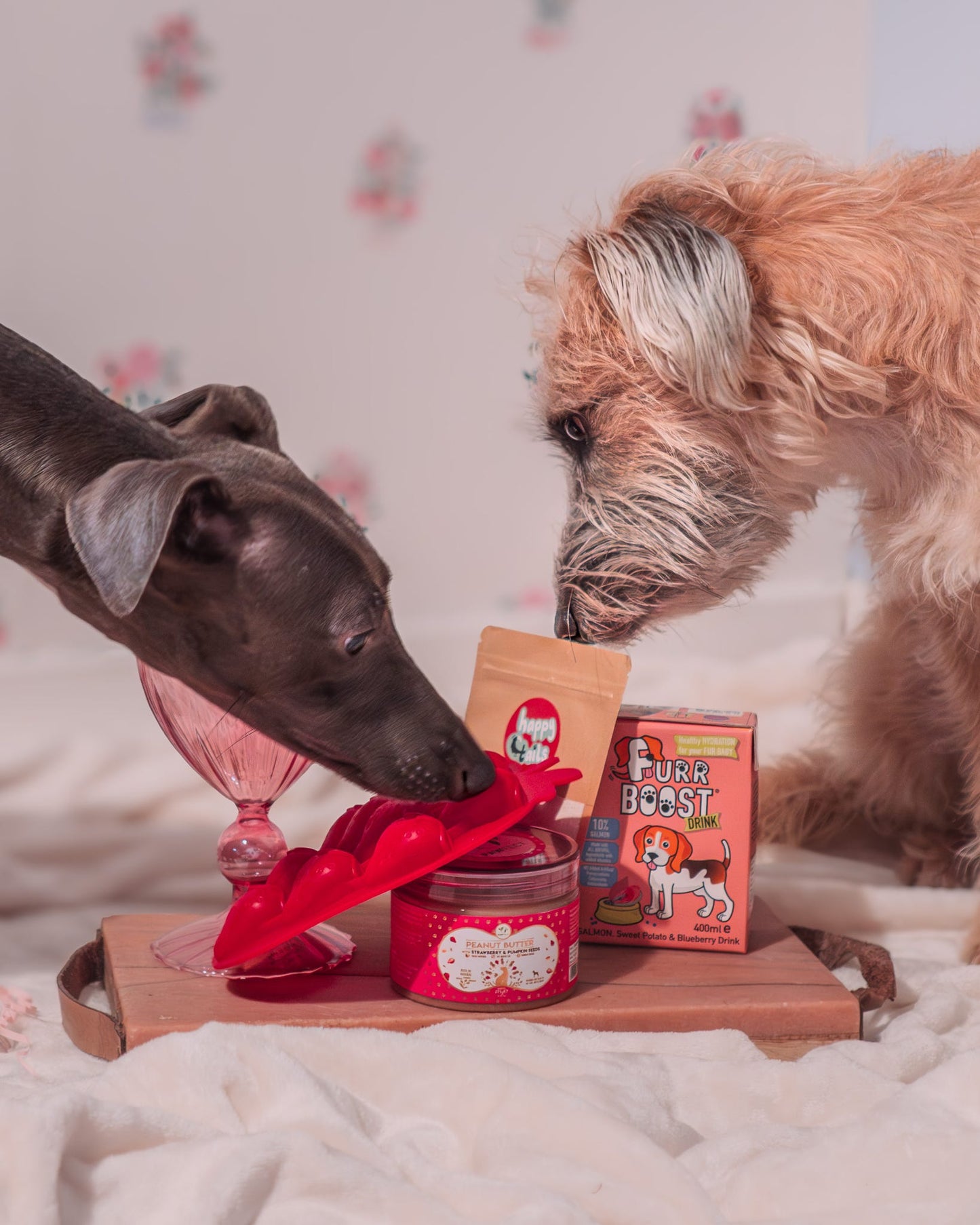 DIY Treats / Enrichment Bundle