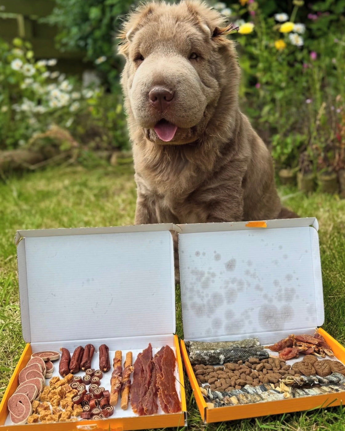 Lucky Dip - Grazing Box