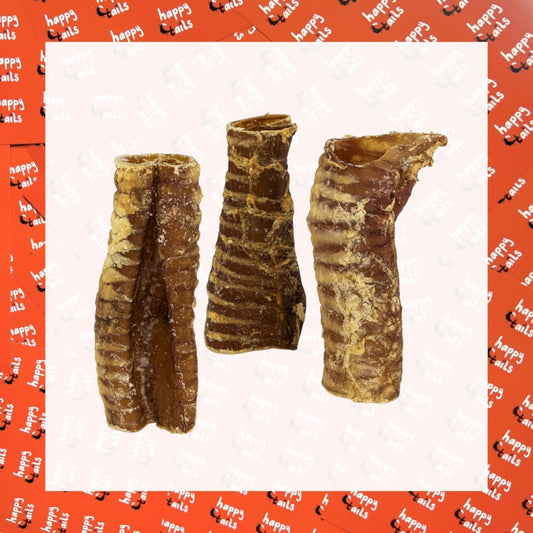 Cut Beef Tracheas