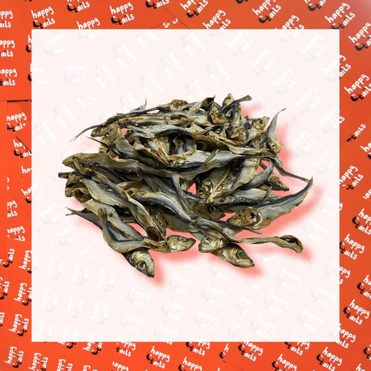 Herring Fish - 50g
