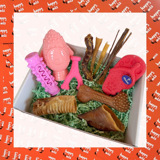 Puppy Box - Pink (Perfect for Teething!)