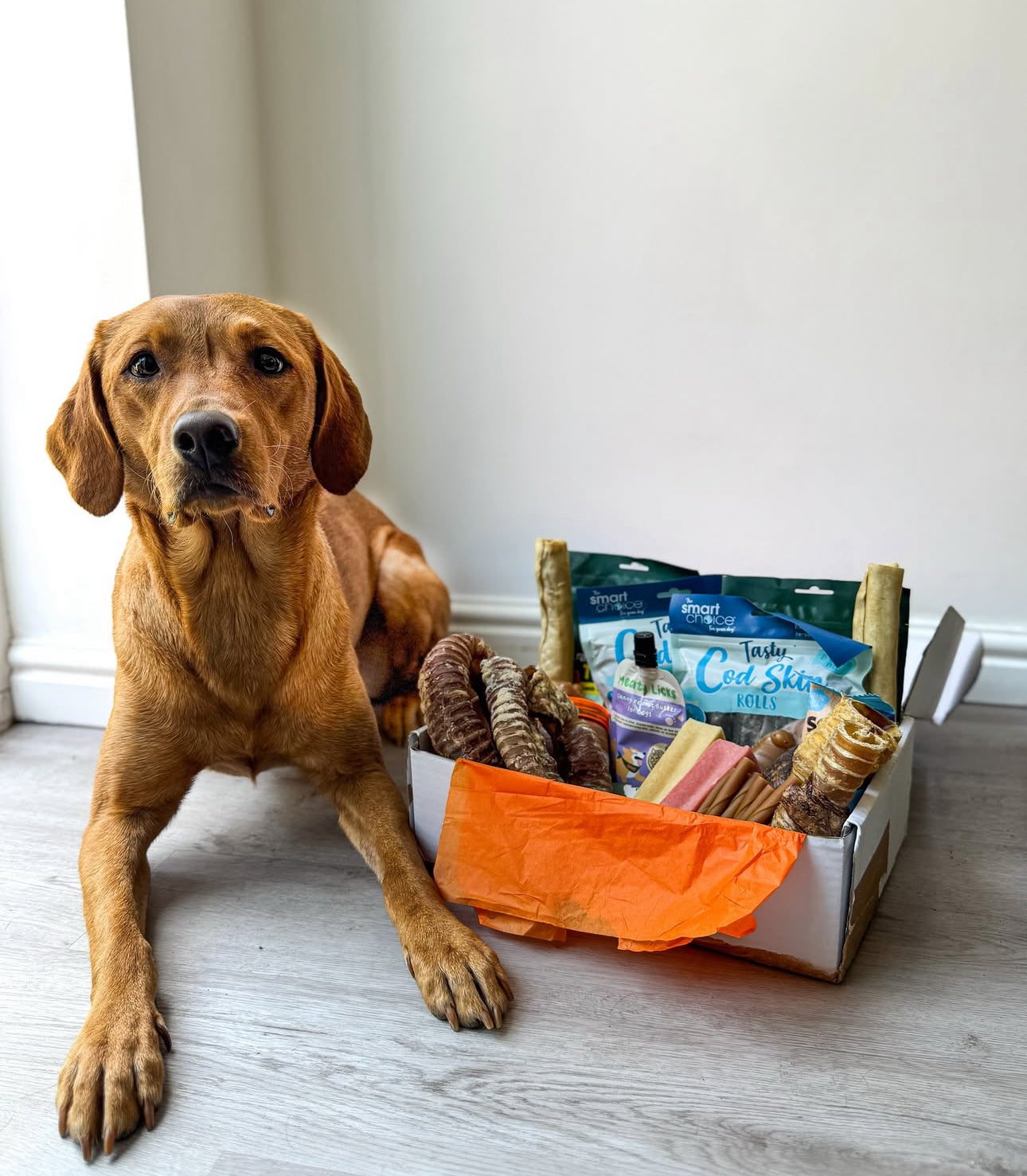 Bargain Bundle (up to 50% for free!) - Treats Galore