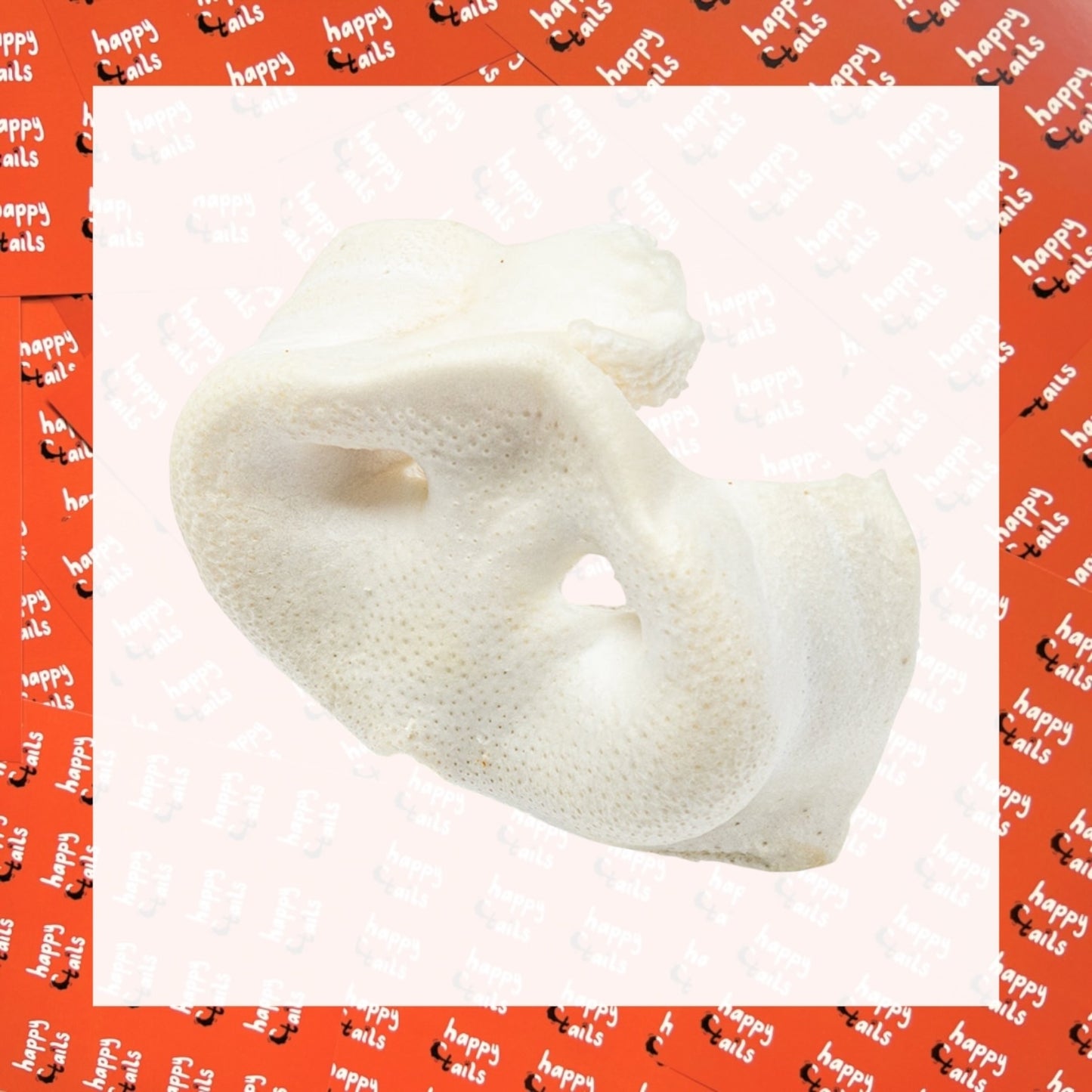 Large Pig Snouts - Puffed