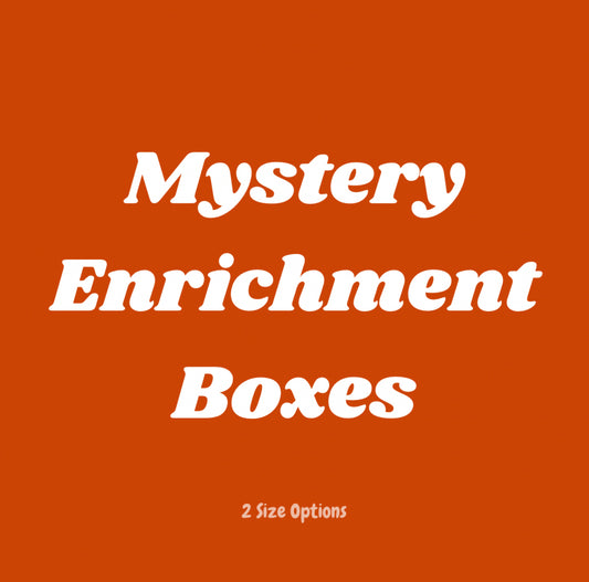 Mystery Enrichment Boxes