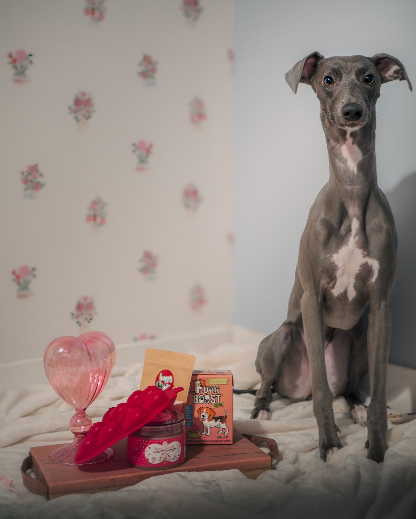 DIY Treats / Enrichment Bundle