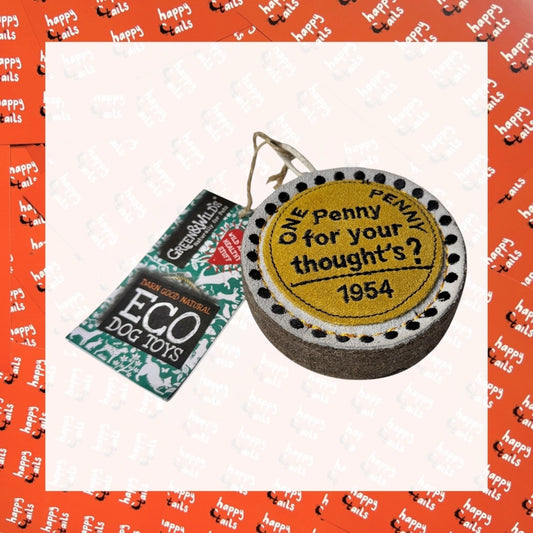 Penny For Your Thoughts Eco Toy