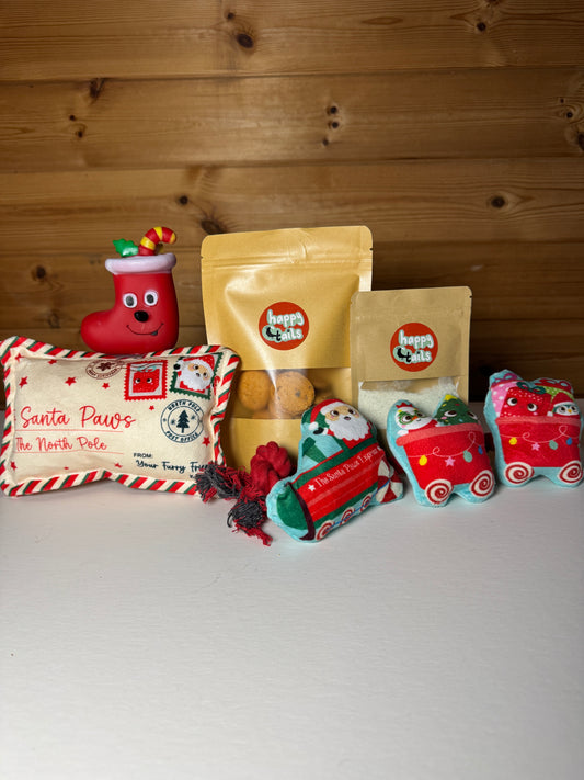 Santa Paws is Coming to Town Box