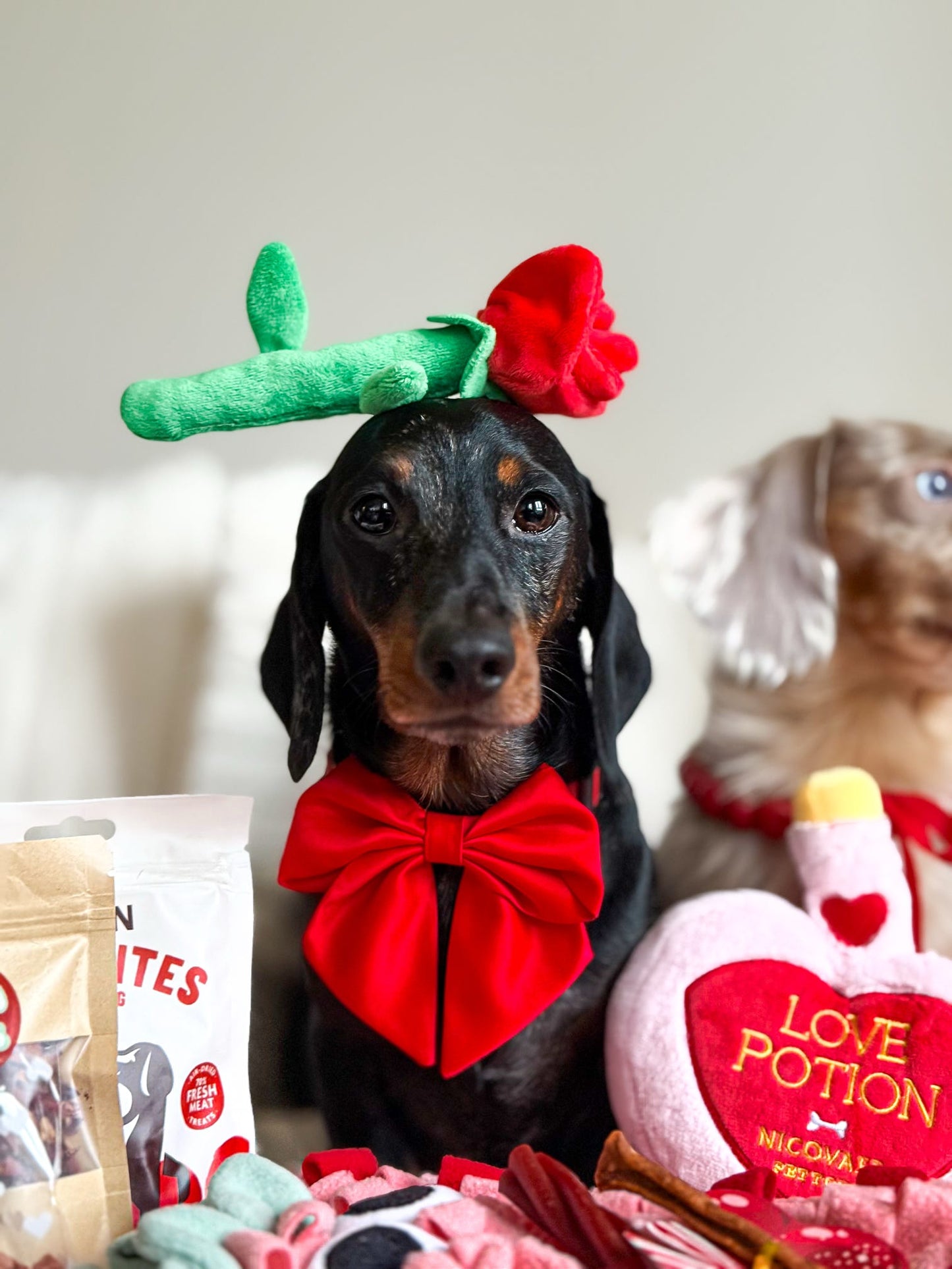 All you need is love box - January subscription leftovers