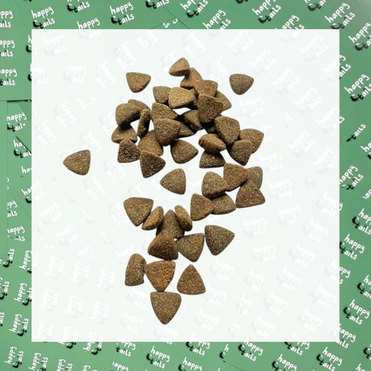 Crunchy Bites : Duck with Parsnips, Beetroot, Orange, Asparagus & Pumpkin