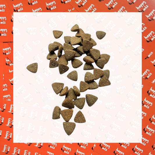 Crunchy Bites : Duck with Parsnips, Beetroot, Orange, Asparagus & Pumpkin