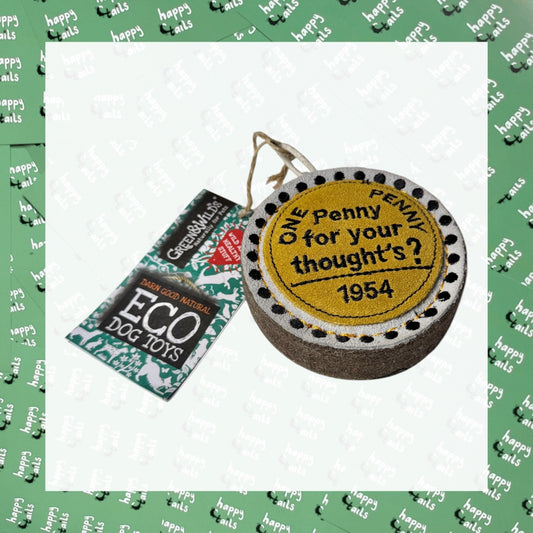 Penny For Your Thoughts Eco Toy