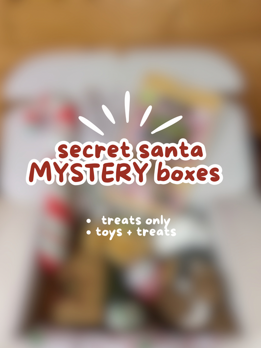 Black Friday Secret Santa Box : Mystery Bundle