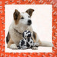 Petface Planet Sienna Seal Eco Plush Toy