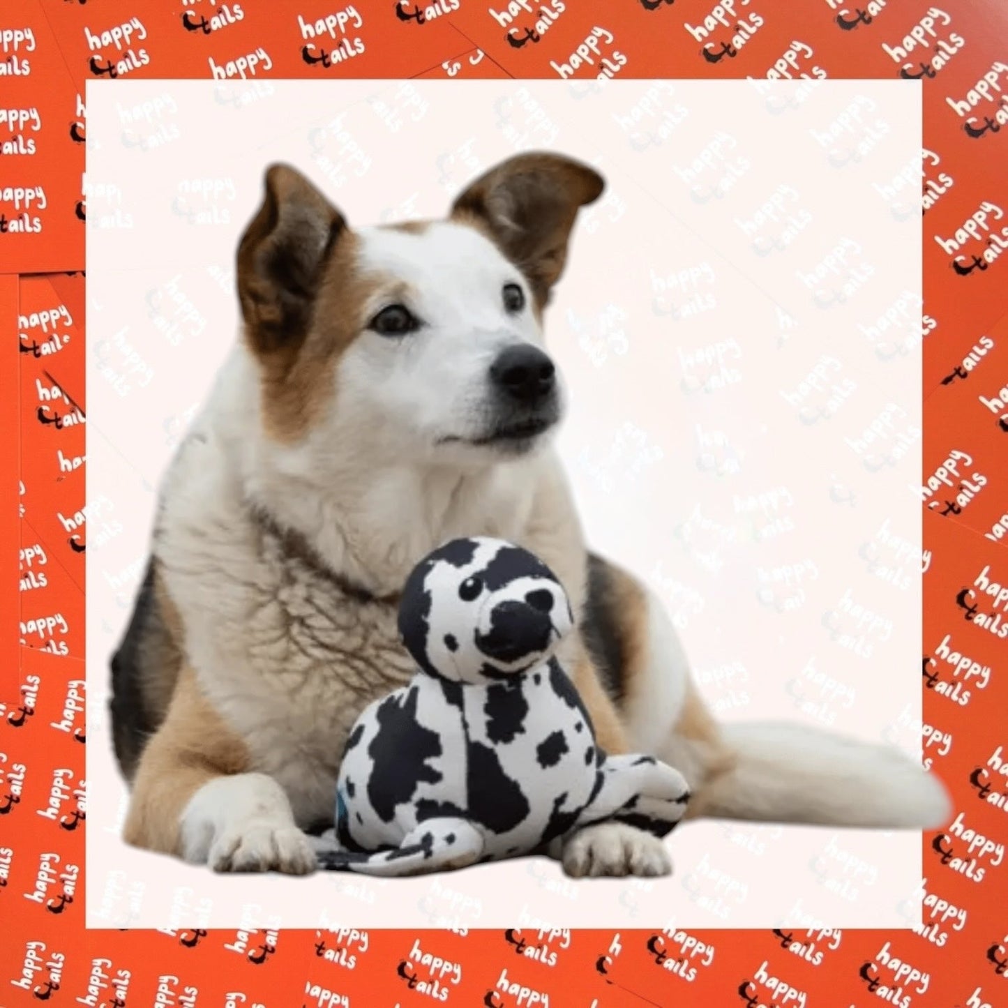 Petface Planet Sienna Seal Eco Plush Toy
