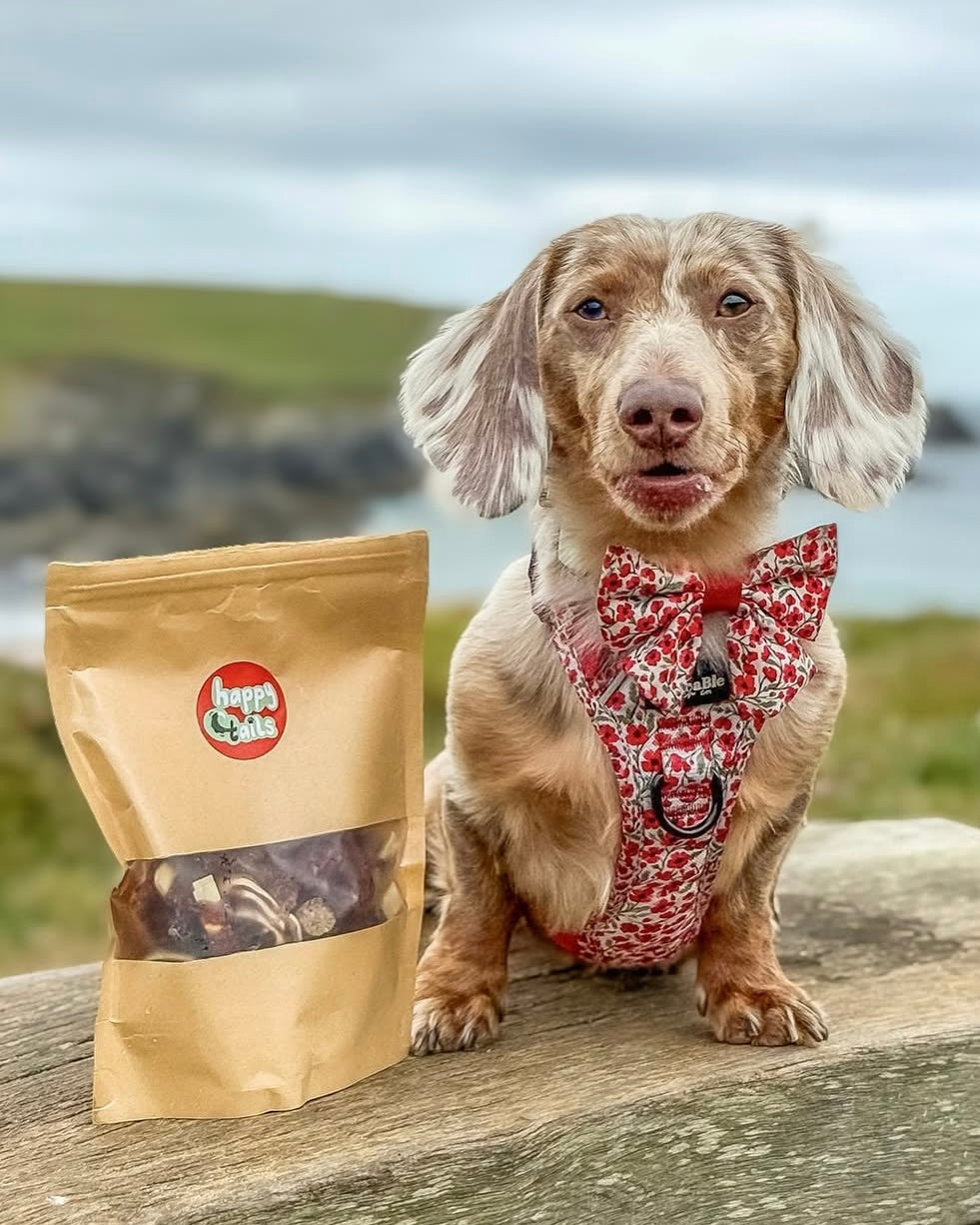 Lucky Dip - Pick & Mix 100g Bag