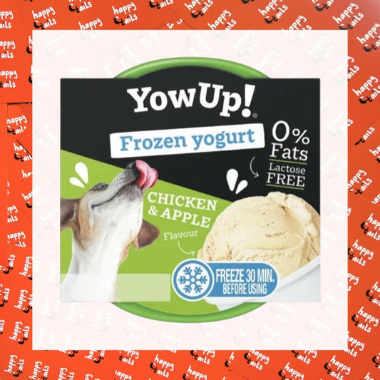 Yowup! Frozen Yogurt : Chicken & Apple Flavour