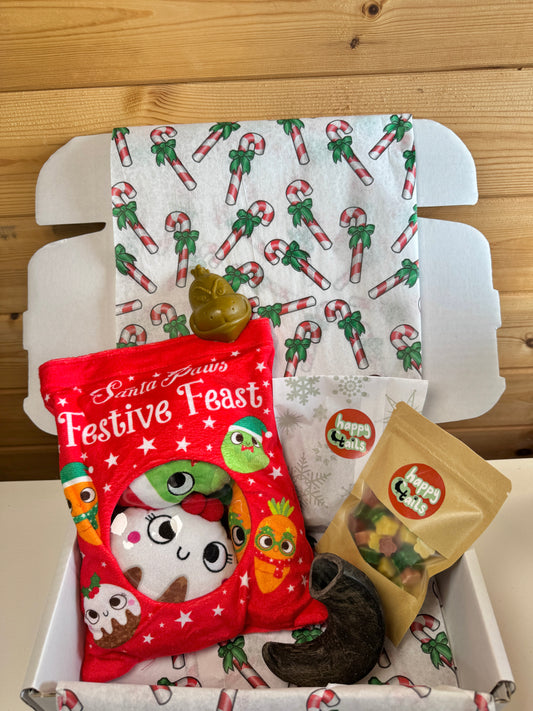 Black Friday Secret Santa Box : Enrichment Bundle