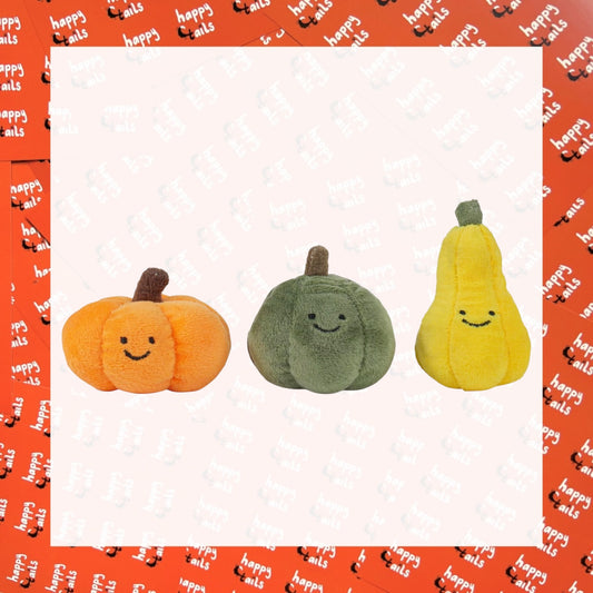 Mini Pumpkin 3 Pack