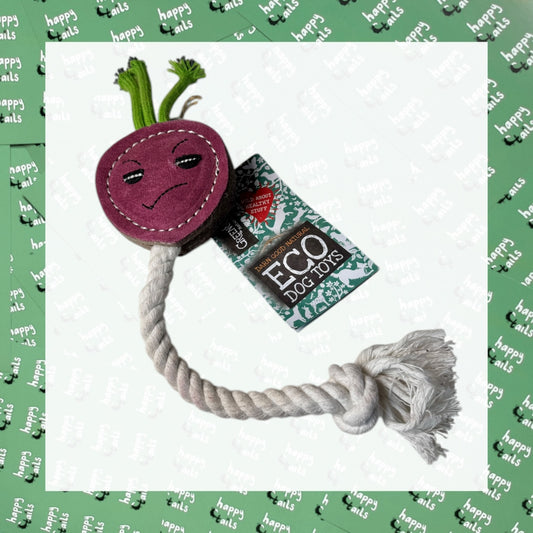 Ruby the Radish Eco Toy