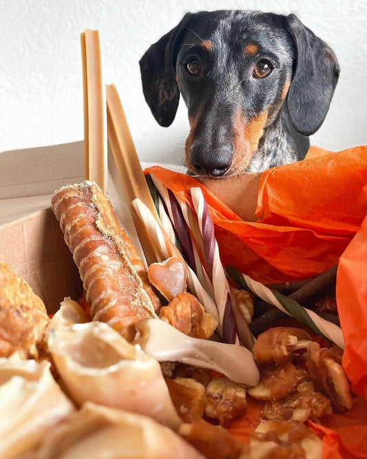 Bargain Bundle (up to 50% for free!) - Natural Treats