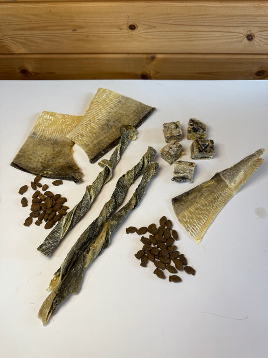 Fiver Friday : Fishy Bundle