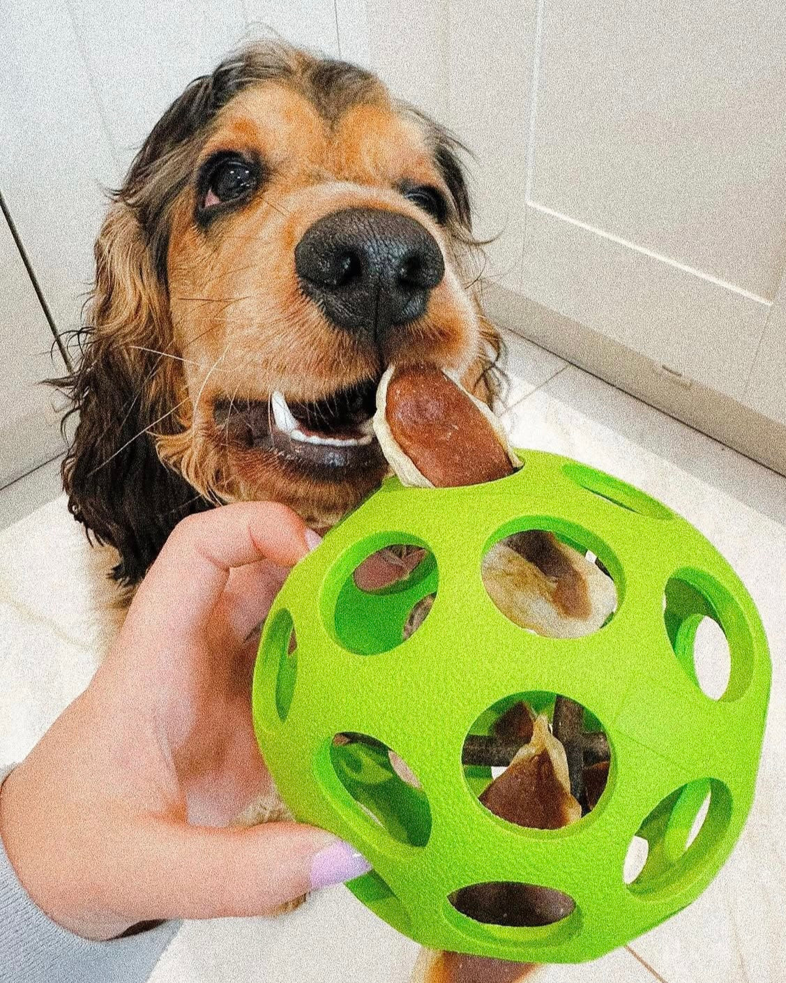 Lucky Dip - Enrichment