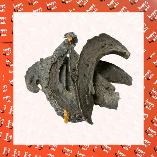 Dried Beef Liver