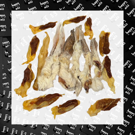 Black Friday Fivers : Rabbit Bundle