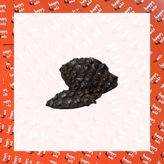 Ostrich Liver - 50g