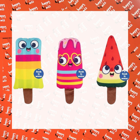 Ice Lolly Hydration Toys