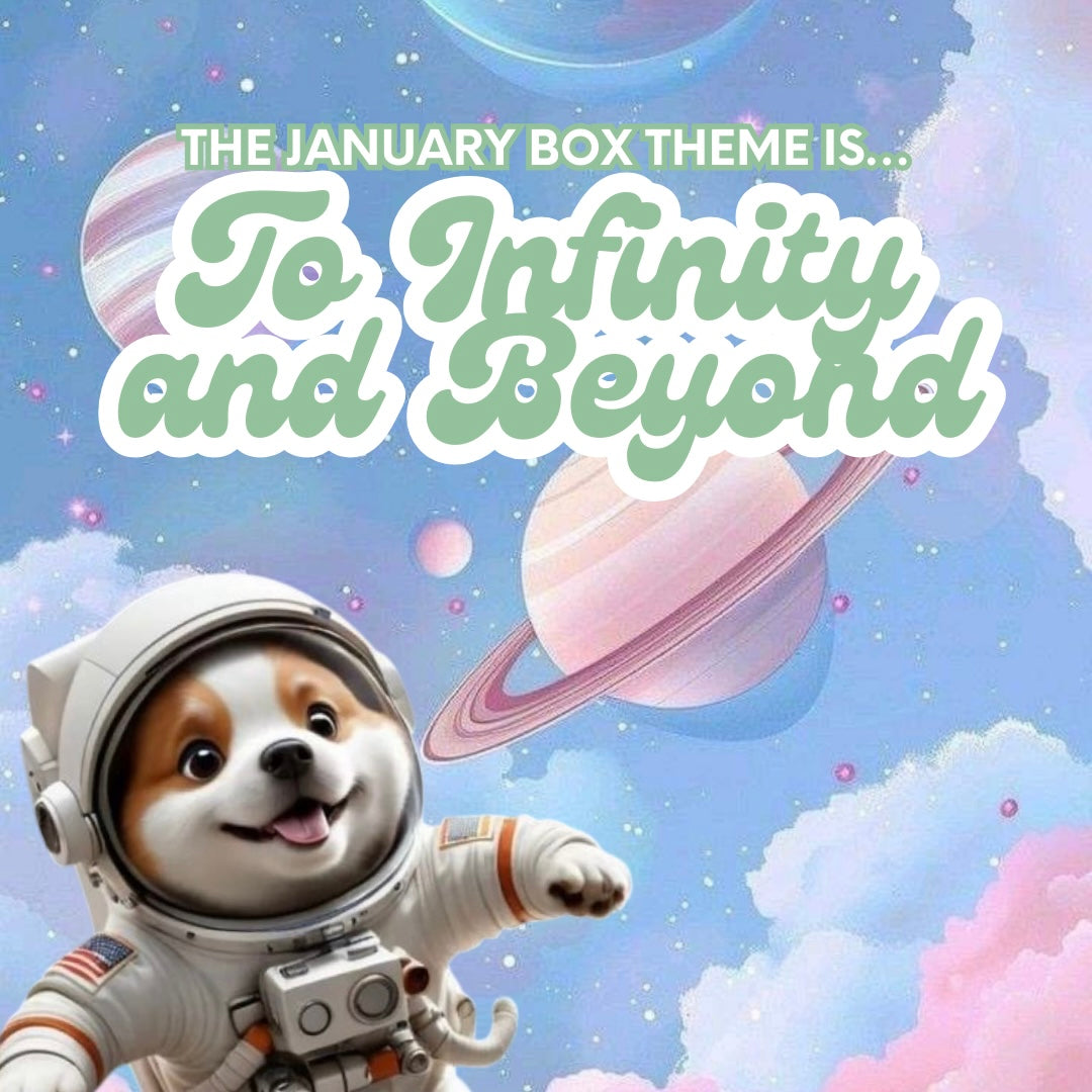 Happy Tails Monthly Themed Box : To Infinity and Beyond 🪐👽🛸🚀