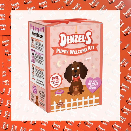 Denzel’s Puppy Boxes