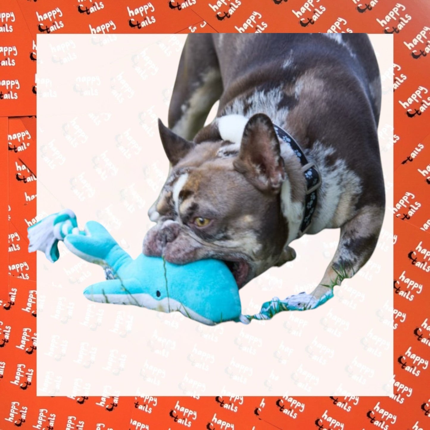 Petface Whale Rope & Plush Toy