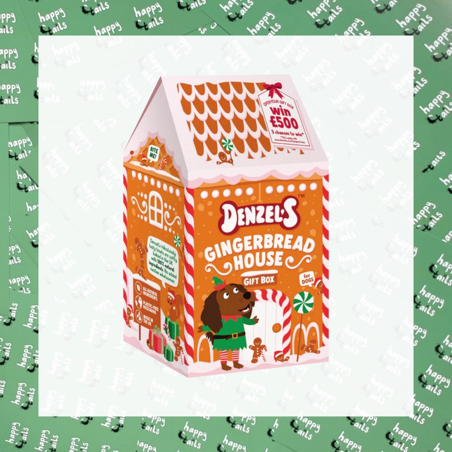 Denzel’s Gingerbread House