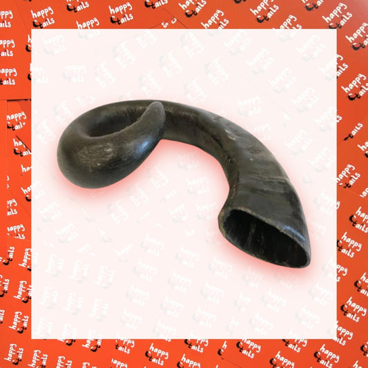 Large Buffalo Horn