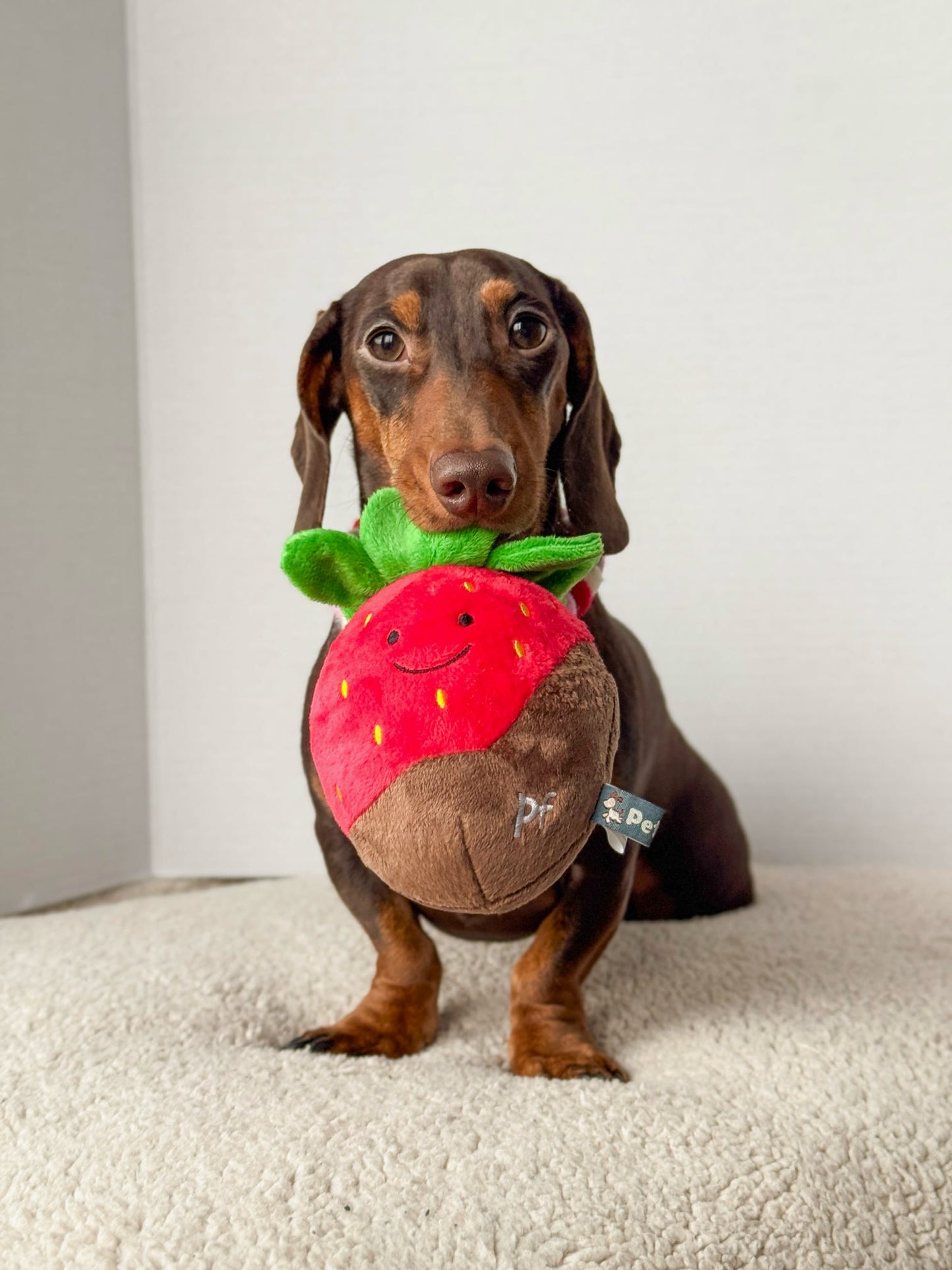 Charlie Chocolate Dipped Strawberry Plush Toy
