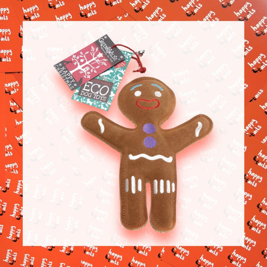 Jean Genie the Gingerbread Person